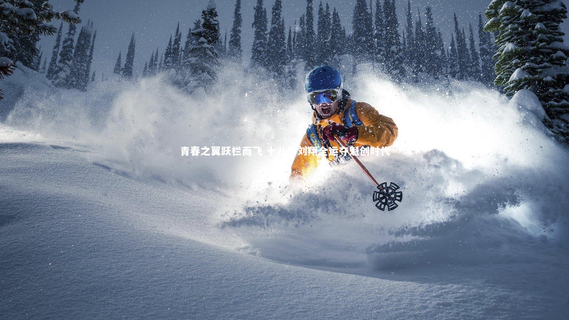 青春之翼跃栏而飞 十八岁刘翔全运夺魁创时代